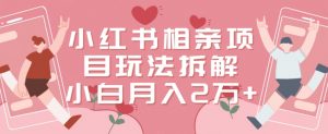 小红书相亲项目玩法拆解,有人通过这个副业项目做到了月收入2万多【揭秘】-致富资源库