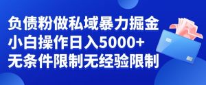 负债粉私域暴力掘金,小白操作入5000,无经验限制,无条件限制【揭秘】-致富资源库