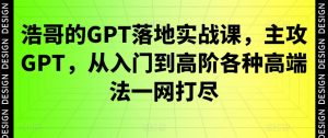 浩哥的GPT落地实战课,主攻GPT,从入门到高阶各种高端法一网打尽-致富资源库
