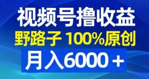 视频号野路子撸收益，100%原创，条条爆款，月入6000＋【揭秘】-致富资源库