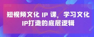 短视频文化IP课,学习文化IP打造的底层逻辑-致富资源库