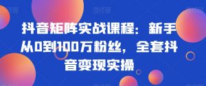 抖音矩阵实战课程:新手从0到100万粉丝,全套抖音变现实操-致富资源库