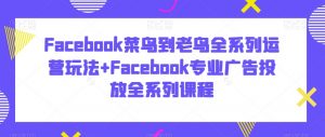 Facebook菜鸟到老鸟全系列运营玩法+Facebook专业广告投放全系列课程-致富资源库