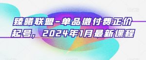 臻曦联盟-单品微付费正价起号，2024年1月最新课程-致富资源库