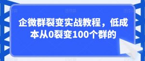 企微群裂变实战教程,低成本从0裂变100个群的-致富资源库