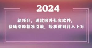 2024新项目，通过国外社交软件，快速涨粉精准引流，轻松做到月入上万【揭秘】-致富资源库