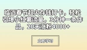 临近春节超火存钱打卡，轻松引爆小红薯流量，3分钟一条作品，20天涨粉4000+【揭秘】-致富资源库