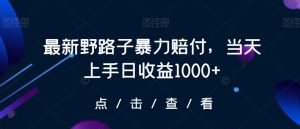最新野路子暴力赔付，当天上手日收益1000+【仅揭秘】-致富资源库