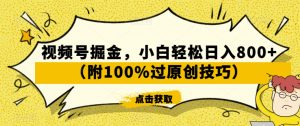 视频号掘金，小白轻松日入800+（附100%过原创技巧）【揭秘】-致富资源库
