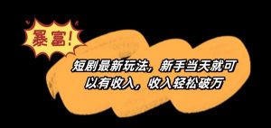 短剧最新玩法,新手当天就可以有收入,收入轻松破万【揭秘】-致富资源库