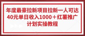年度最豪拉新项目拉新一人可达40元单日收入1000+红薯推广计划实操教程【揭秘】-致富资源库