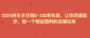 2024拼多多日销0-100单实操,让你迅速起步,做一个稳定盈利的店铺出来-致富资源库