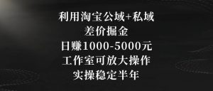 利用淘宝公域+私域差价掘金，日赚1000-5000元，工作室可放大操作，实操稳定半年【揭秘】-致富资源库