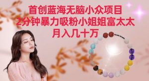 首创蓝海无脑小众项目，2分钟暴力吸粉小姐姐富太太，月入几十万【揭秘】-致富资源库