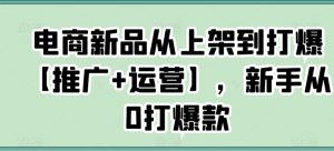 电商新品从上架到打爆【推广+运营】,新手从0打爆款-致富资源库