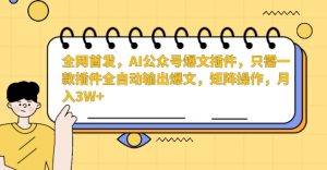 全网首发，AI公众号爆文插件，只需一款插件全自动输出爆文，矩阵操作，月入3W+【揭秘】-致富资源库