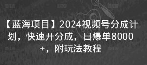 【蓝海项目】2024视频号分成计划，快速开分成，日爆单8000+，附玩法教程-致富资源库