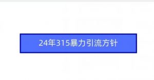 24年315暴力引流方针-致富资源库