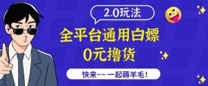 外面收费2980的全平台通用白嫖撸货项目2.0玩法【仅揭秘】-致富资源库