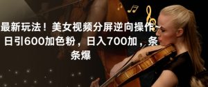 最新玩法！美女视频分屏逆向操作~日引600加色粉，日入700加，条条爆【揭秘】-致富资源库