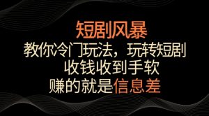 短剧风暴,教你冷门玩法,玩转短剧,收钱收到手软【揭秘】-致富资源库
