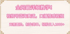 全网最详细教学，视频号蓝海赛道，口播情感视频，无需露脸，制作简单，轻松实现日入1000+【揭秘】-致富资源库