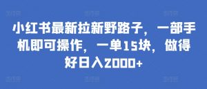 小红书最新拉新野路子,一部手机即可操作,一单15块,做得好日入2000+【揭秘】-致富资源库