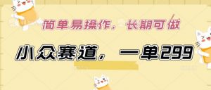 小众赛道，一单299.简单易操作，长期可做【揭秘】-致富资源库