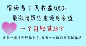 十天收益5000+,多平台捞金,视频号情感治愈漫剪,一个月收徒28个,小白一部手机轻松上手【揭秘】-致富资源库