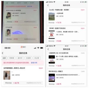 2024年3月最新，快手磁力聚星全流程实操教学，8台手机日均收益稳定100~200元【揭秘】-致富资源库