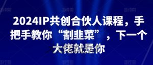 2024IP共创合伙人课程，手把手教你“割韭菜”，下一个大佬就是你-致富资源库