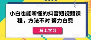 小白也能听懂的抖音短视频课程,方法不对 努力白费-致富资源库