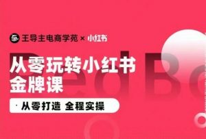 王导主·小红书电商运营实操课,从零打造 全程实操-致富资源库