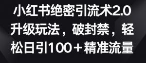 小红书绝密引流术2.0升级玩法,破封禁,轻松日引100+精准流量【揭秘】-致富资源库