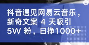 抖音遇见网易云音乐，新奇文案 4 天吸引 5W 粉，日挣1000+【揭秘】-致富资源库