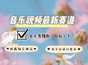 音乐视频赛道最新玩法，纯原创不违规，可所有平台同时发布，会点剪辑即可轻松拿捏【揭秘】-致富资源库