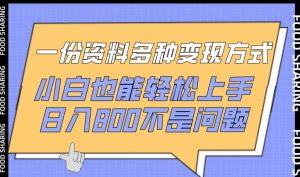 一份资料多种变现方式,小白也能轻松上手,日入800不是问题【揭秘】-致富资源库