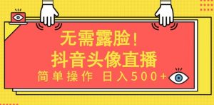 无需露脸,Ai头像直播项目,简单操作日入500+【揭秘】-致富资源库