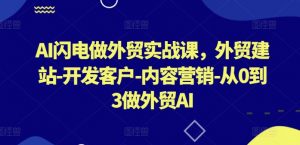 AI闪电做外贸实战课,外贸建站-开发客户-内容营销-从0到3做外贸AI-致富资源库
