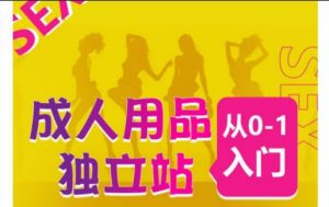 成人用品独立站从0-1入门,成品独立站运营全流程教学,七大好卖成品独立站推荐-致富资源库