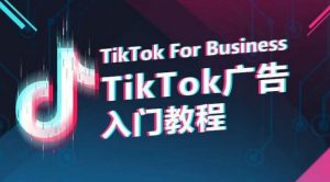 TikTok广告入门教程,从0到1掌握TikTok投放的全流程-致富资源库