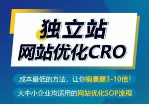 独立站网站优化CRO,成本最低的方法,让你销量翻3-10倍-致富资源库