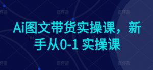 Ai图文带货实操课,新手从0-1 实操课-致富资源库