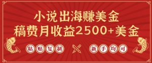 小说出海赚美金,稿费月收益2500+美金,仅需chatgpt粘贴复制,新手也能玩转【揭秘】-致富资源库