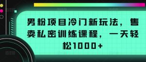 男粉项目冷门新玩法，售卖私密训练课程，一天轻松1000+【揭秘】-致富资源库