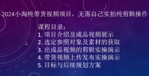2024小淘纯带货视频项目,无需自己实拍纯剪辑操作-致富资源库
