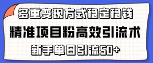 精准项目粉高效引流术，新手单日引流50+，多重变现方式稳定赚钱【揭秘】-致富资源库