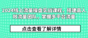 2024线上流量操盘实战课程,搭建高人效流量团队,掌握多平台流量-致富资源库