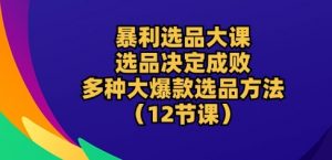 暴利选品大课：选品决定成败，教你多种大爆款选品方法(12节课)-致富资源库