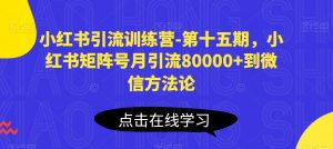 小红书引流训练营-第十五期,小红书矩阵号月引流80000+到微信方法论-致富资源库